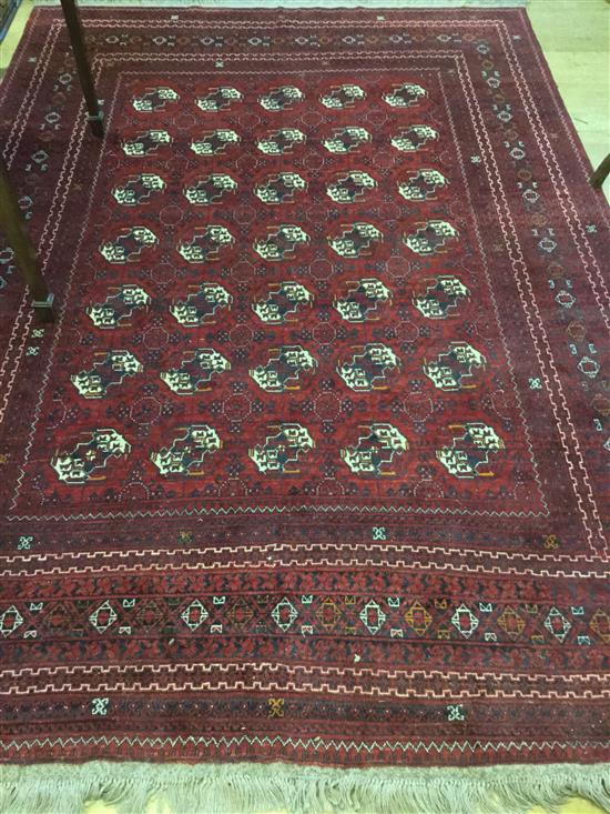 Red ground Bokhara carpet